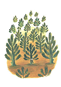 Egle Jūlija