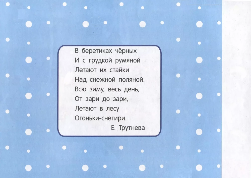 Manas pirmās aplikācijas. Sniega putni uz eglēm