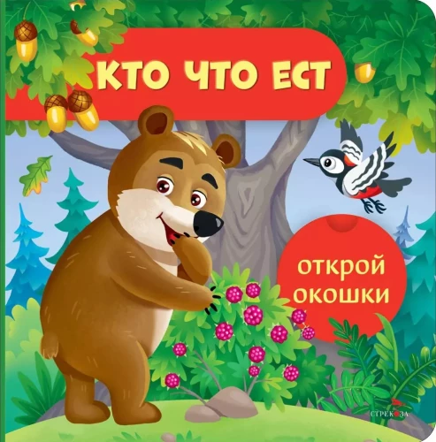 Atver logiņus. Kas ko ēd