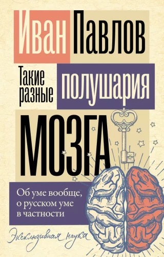 Tādi atšķirīgi smadzeņu puslodes. Par prātu vispār, par krievu prātu īpaši