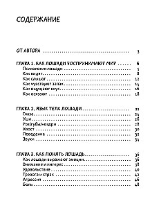 Igo-go. Visi mēs esam nedaudz zirgi