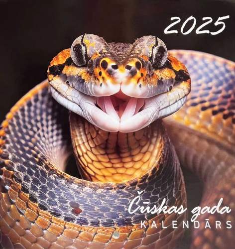 Sienas kalendārs 2025. gadam - Čūska, A5