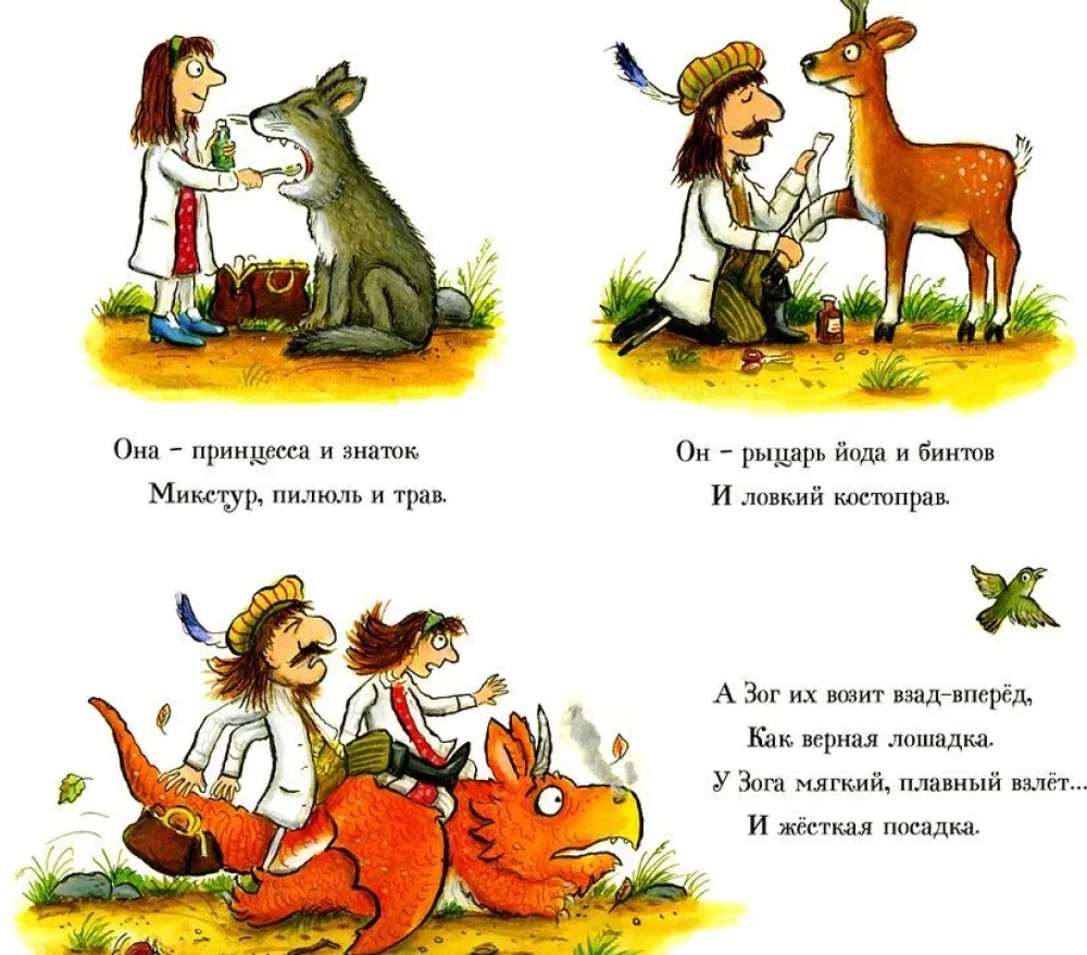 Zogs un pārlidojošie ārsti
