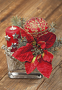Ziemassvētku apsveikuma kartiņa (mini)