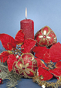 Ziemassvētku apsveikuma kartiņa (mini)