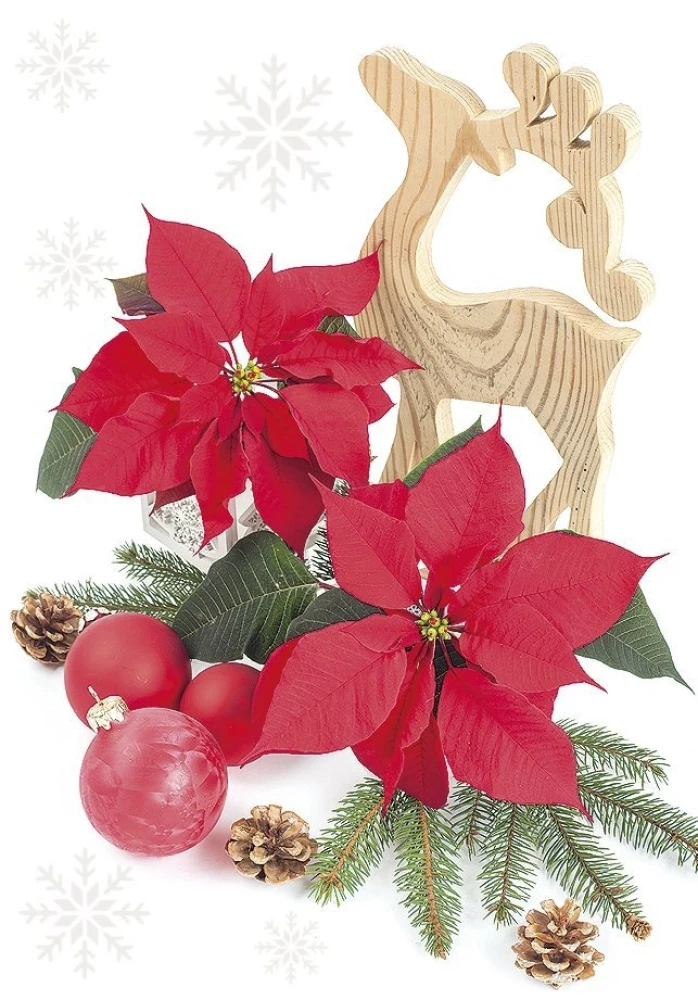 Ziemassvētku apsveikuma kartiņa (mini)