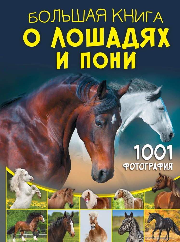 Lielā grāmata par zirgiem un ponijiem. 1001 fotogrāfija