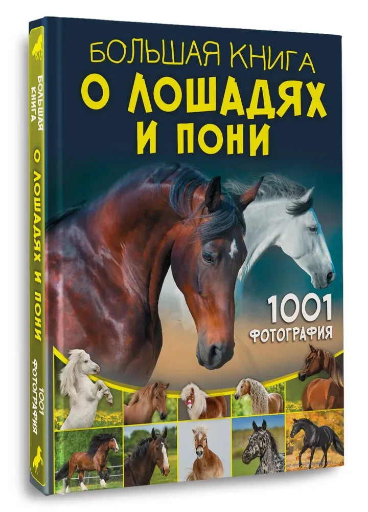 Lielā grāmata par zirgiem un ponijiem. 1001 fotogrāfija