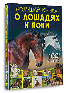 Lielā grāmata par zirgiem un ponijiem. 1001 fotogrāfija
