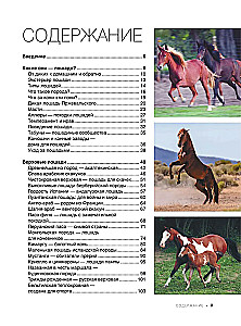 Lielā grāmata par zirgiem un ponijiem. 1001 fotogrāfija