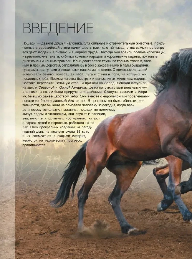 Lielā grāmata par zirgiem un ponijiem. 1001 fotogrāfija