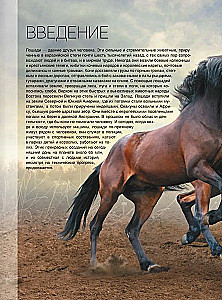 Lielā grāmata par zirgiem un ponijiem. 1001 fotogrāfija
