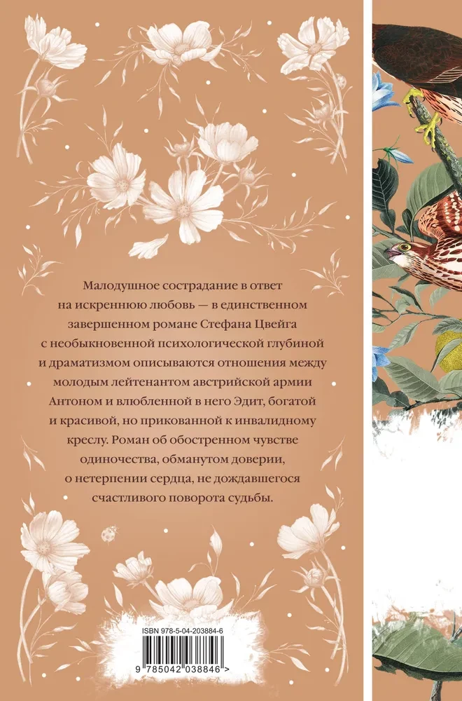 Neterpība sirdī