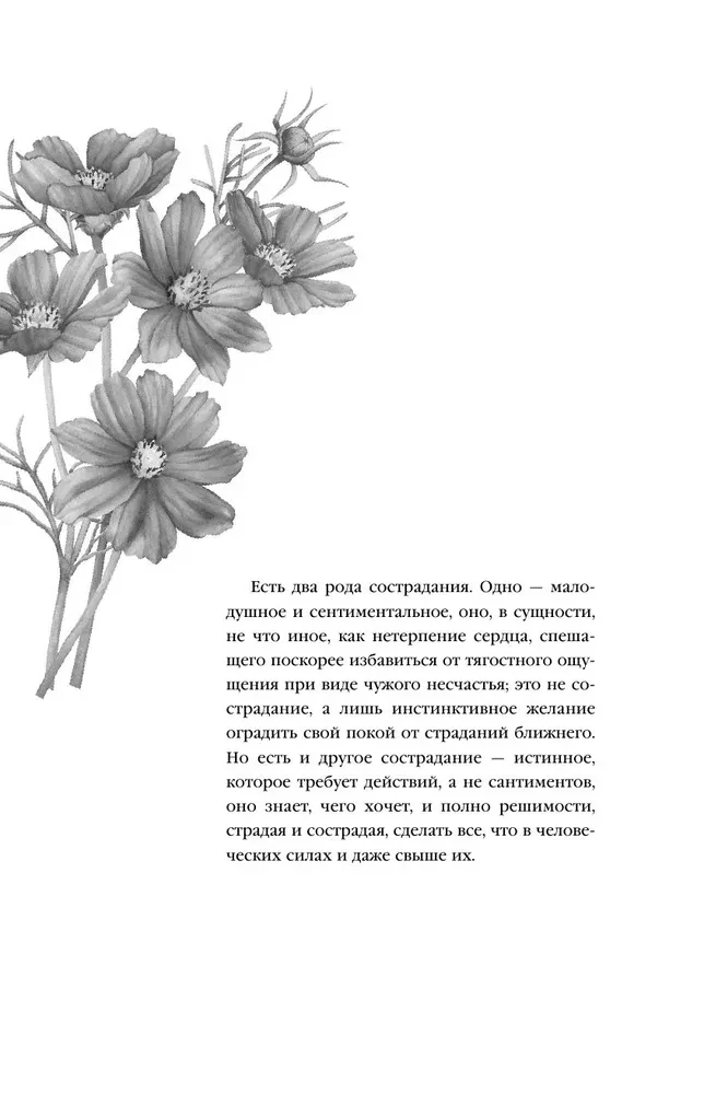 Neterpība sirdī