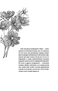 Neterpība sirdī
