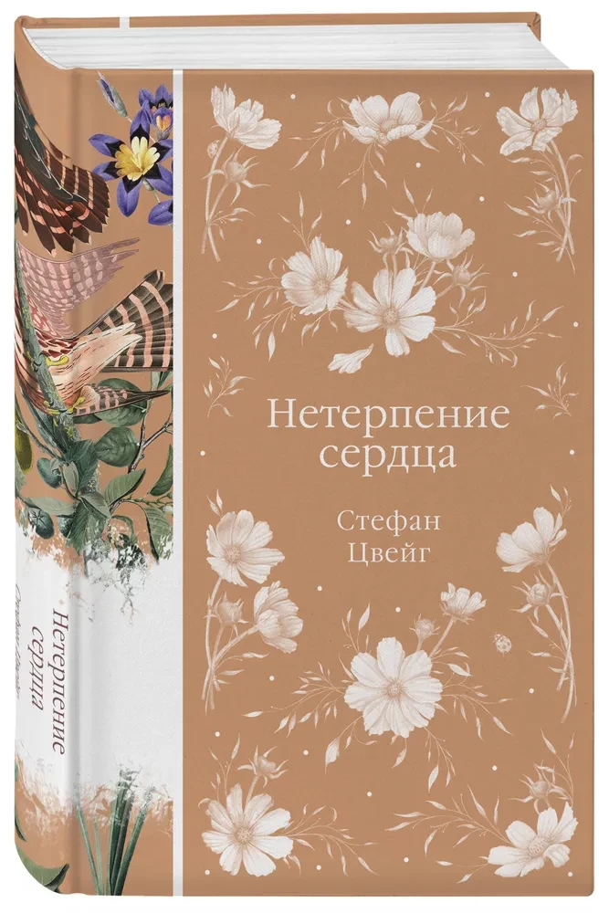 Neterpība sirdī