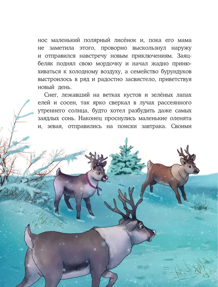 Poni Zvanīte. Brīnumi Ziemeļu polā