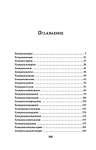 Četrdesmit viena šautene