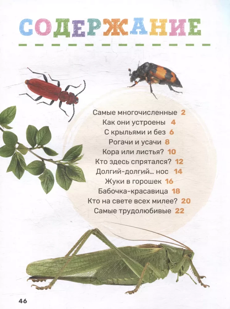 Kukaiņi. Pirmā mazuļa enciklopēdija