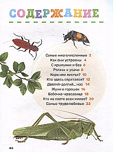 Kukaiņi. Pirmā mazuļa enciklopēdija