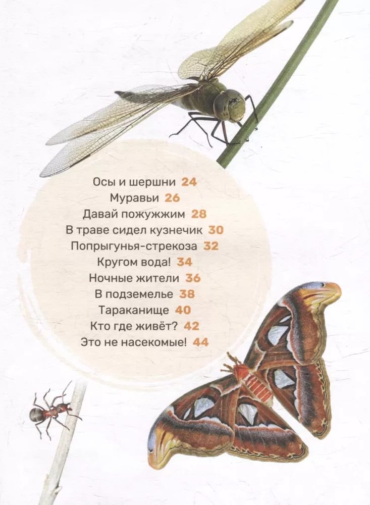Kukaiņi. Pirmā mazuļa enciklopēdija