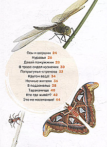 Kukaiņi. Pirmā mazuļa enciklopēdija