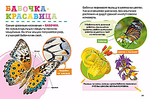 Kukaiņi. Pirmā mazuļa enciklopēdija
