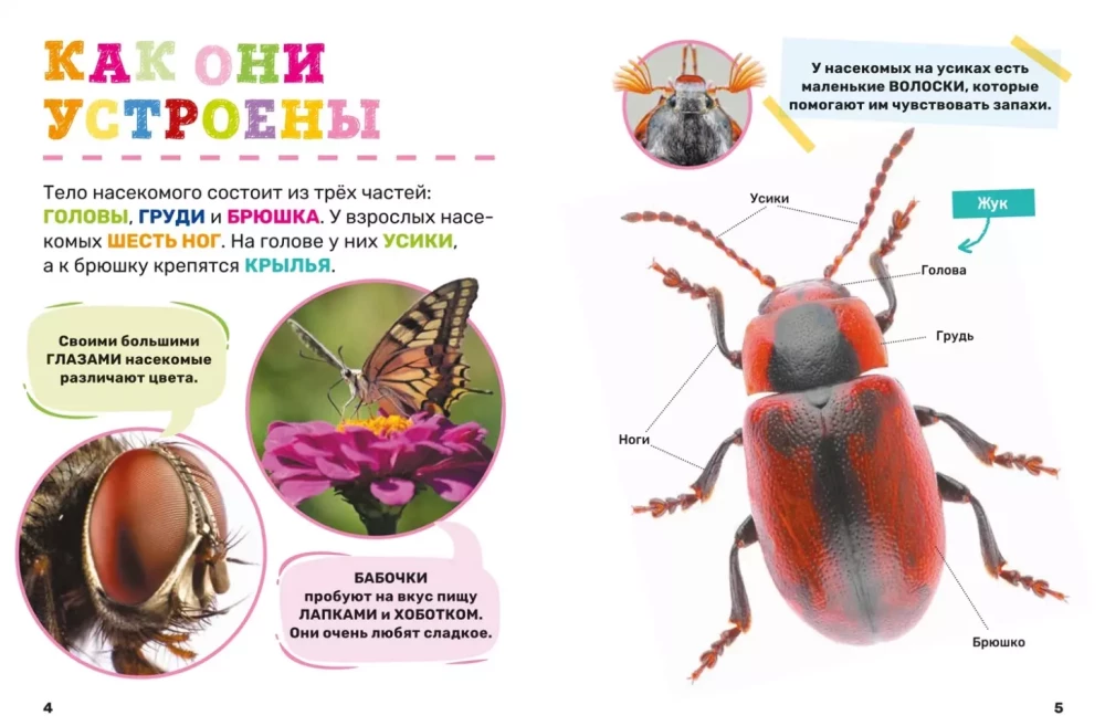 Kukaiņi. Pirmā mazuļa enciklopēdija