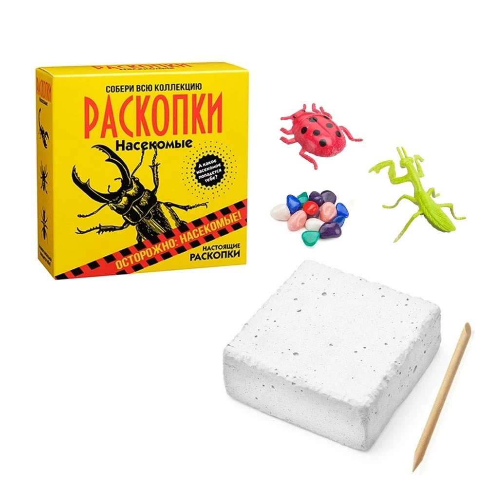 Izrakumu komplekts - Kukaiņi