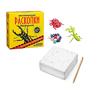 Izrakumu komplekts - Kukaiņi