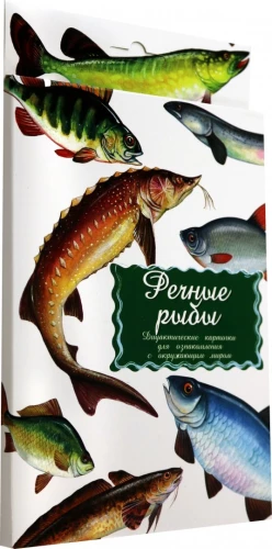 Didaktiskās kartītes - Upeņu zivis
