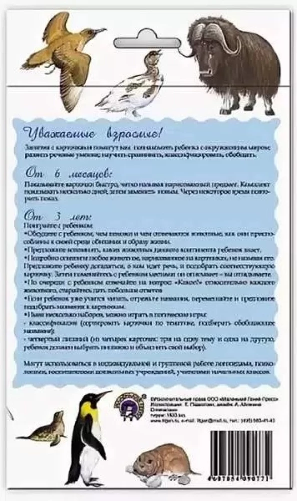 Didaktiskās kartītes - Arktikas un Antarktikas dzīvnieki