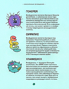 Вопросы о сексе. О чем действительно спрашивают подростки