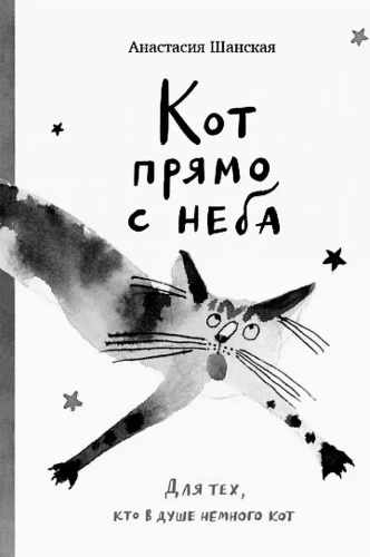 Кот прямо с неба. Для тех, кто в душе немного кот