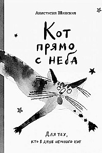 Кот прямо с неба. Для тех, кто в душе немного кот