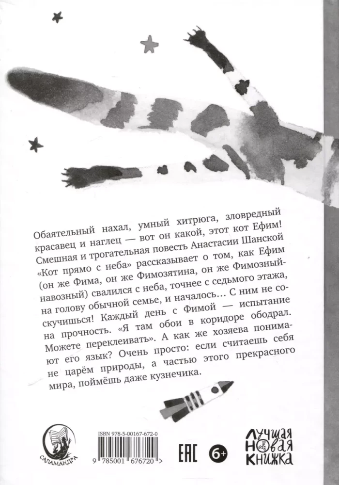Кот прямо с неба. Для тех, кто в душе немного кот