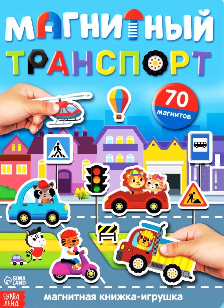 Magnētiskais transports