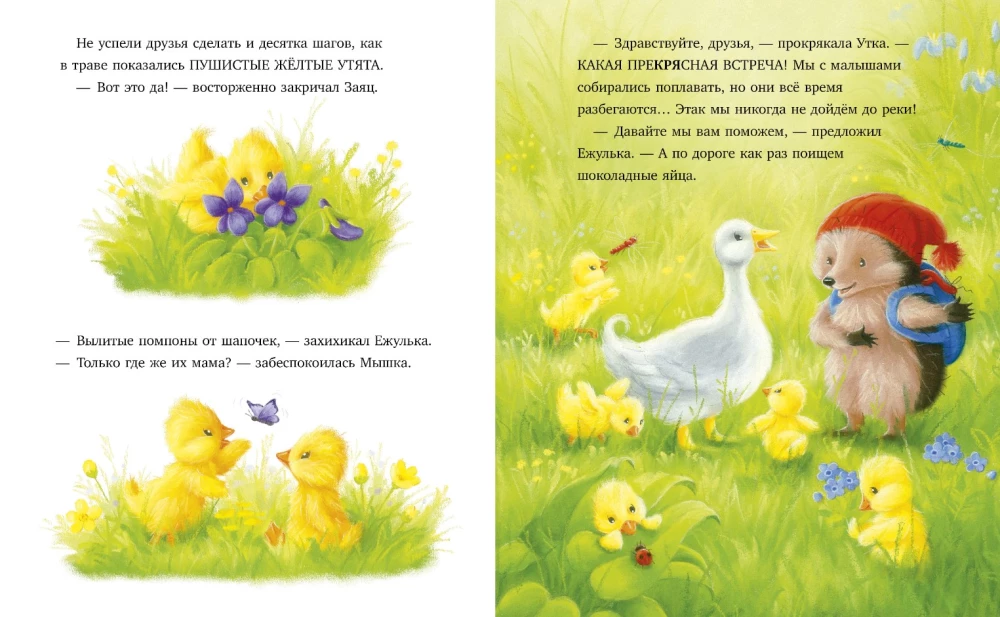 Piedzīvojumi Ežulītes. Vislabākā diena