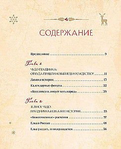 Jaunais gads un Ziemassvētki. Burvīga ziemas svētku stāsts no senatnes līdz mūsu laikam