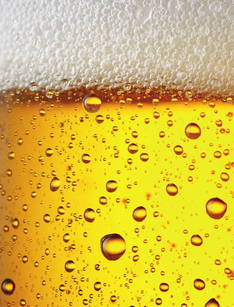 Alus. Vēsture, šķirnes, ražošana, degustācija, tradīcijas