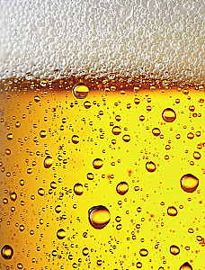 Alus. Vēsture, šķirnes, ražošana, degustācija, tradīcijas