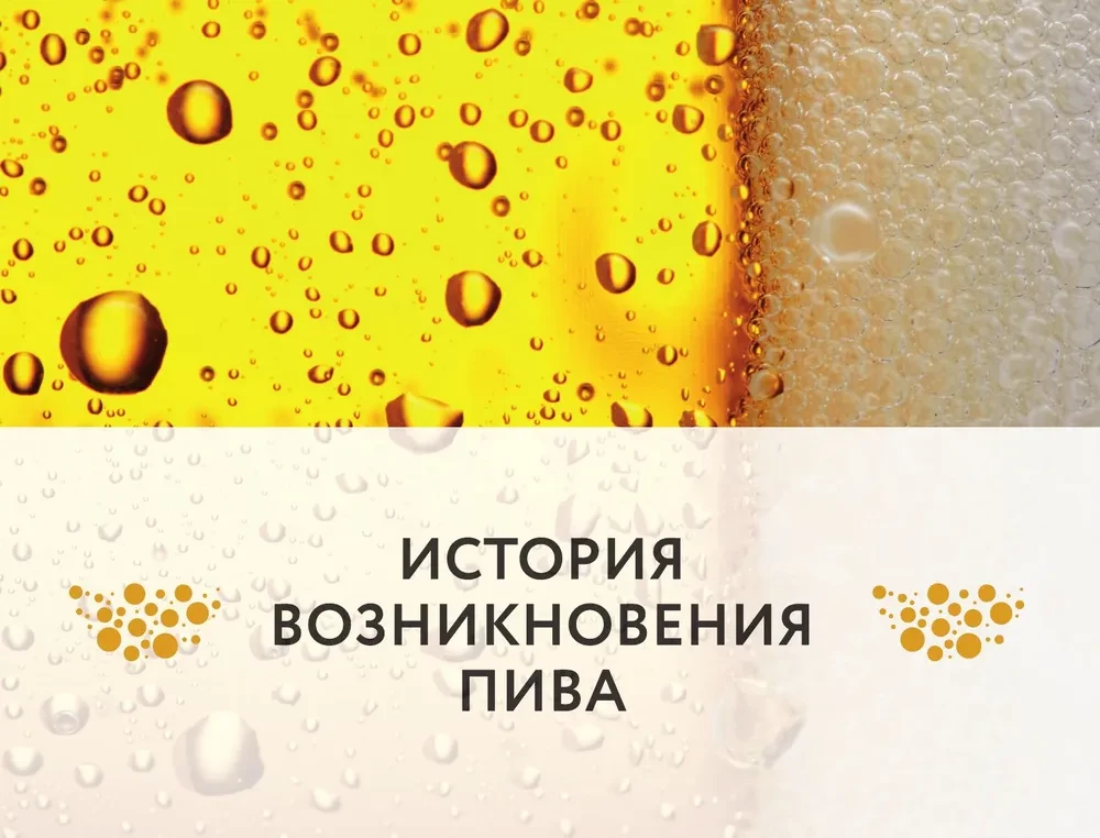 Alus. Vēsture, šķirnes, ražošana, degustācija, tradīcijas
