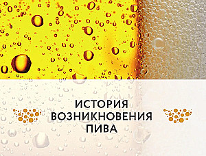 Alus. Vēsture, šķirnes, ražošana, degustācija, tradīcijas