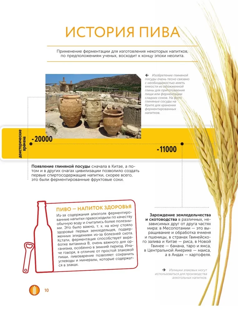 Alus. Vēsture, šķirnes, ražošana, degustācija, tradīcijas