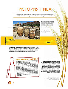 Alus. Vēsture, šķirnes, ražošana, degustācija, tradīcijas