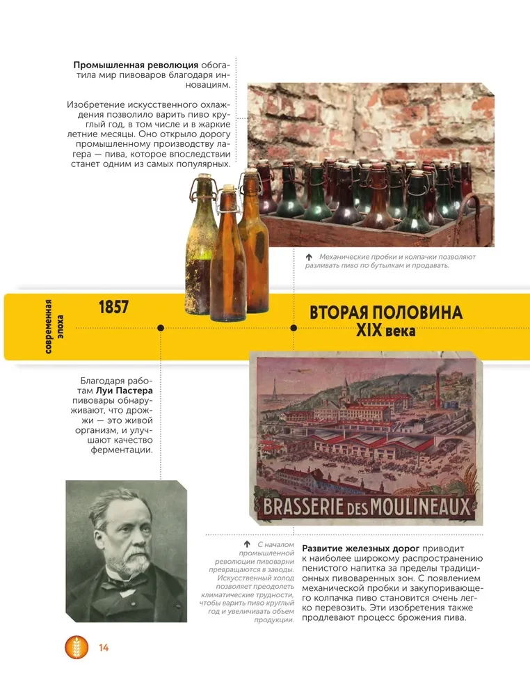 Alus. Vēsture, šķirnes, ražošana, degustācija, tradīcijas