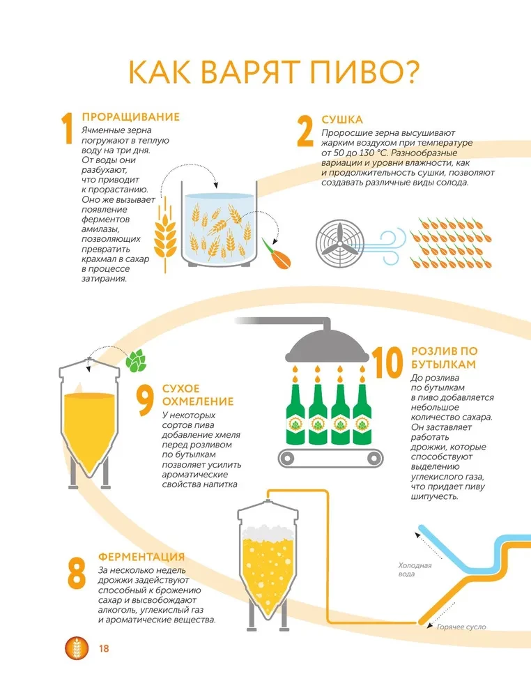 Alus. Vēsture, šķirnes, ražošana, degustācija, tradīcijas