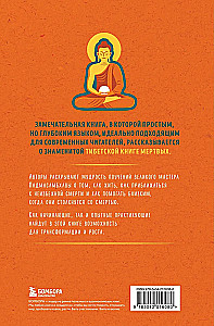 Тибетская Книга мертвых для чайников. Инструкция по жизни и смерти