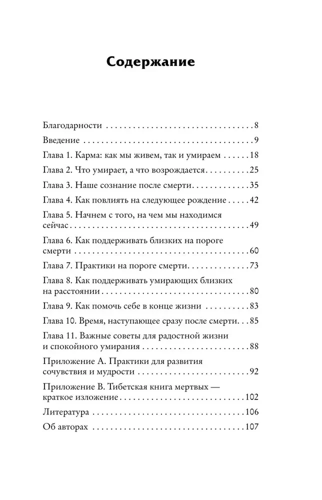 Тибетская Книга мертвых для чайников. Инструкция по жизни и смерти