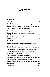 Тибетская Книга мертвых для чайников. Инструкция по жизни и смерти